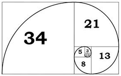 1 1 2 3 5 8 13 34 fibonacci pattern